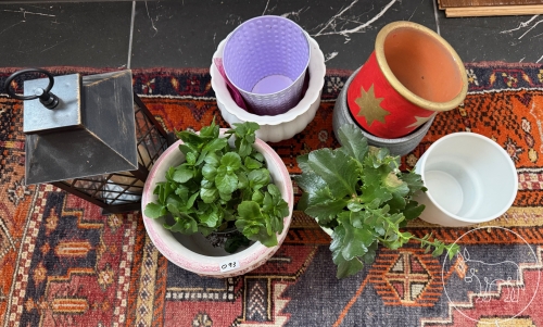 093 - Blumentopf-Konvolut