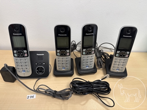 234 - Panasonic Schnurlostelefone