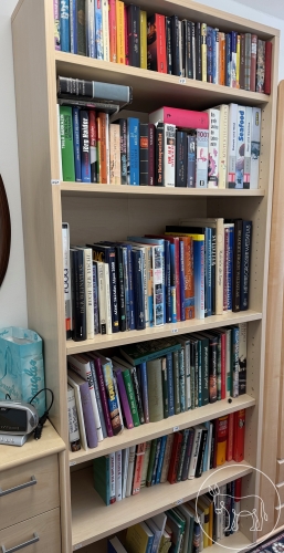 Bild 241 - Bücherregal