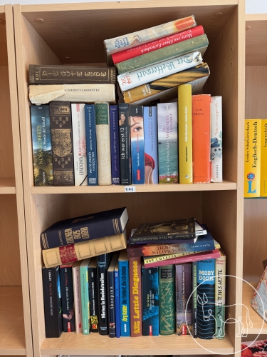 Bild 243 - Bücher Konvolut