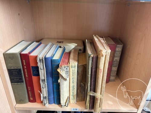 Bild 250 - Bücher Konvolut