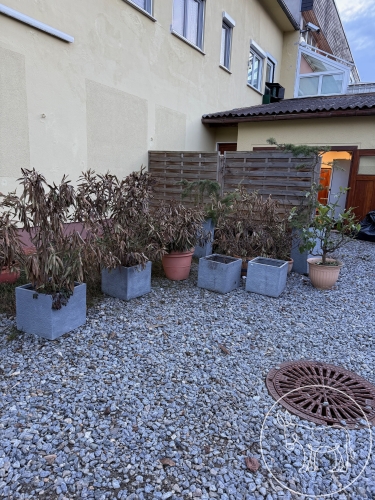 339 - Blumentöpfe und Co.