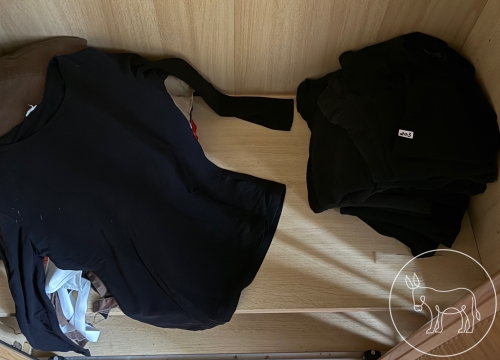 Bild 203 - schwarze T-Shirts Konvolut