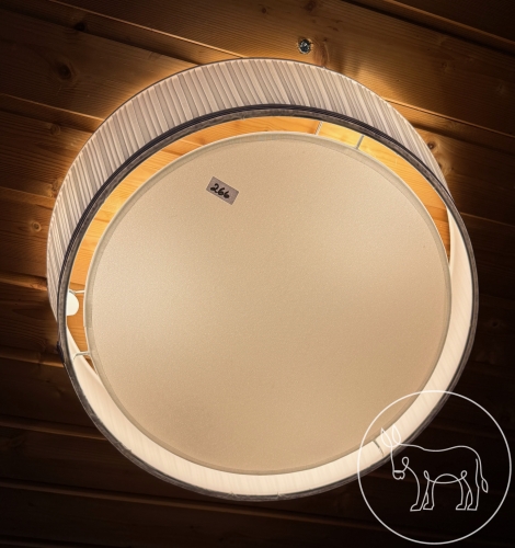 Bild 266 - Deckenleuchte