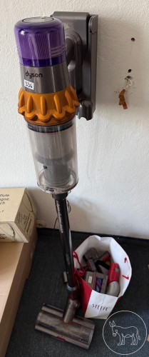 Bild 336 - DYSON V15 detect absolute