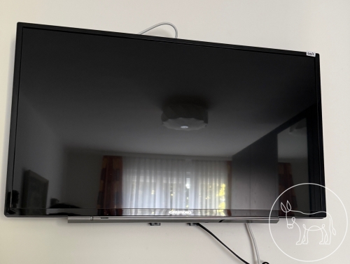 Bild 407 - Grundig Flachbildfernseher