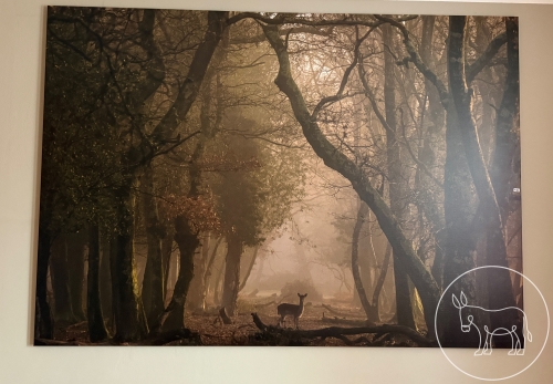 430 - Riesige Leinwand