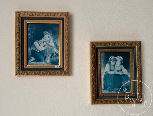Bild 470 - 2 Bilder in schönem Rahmen