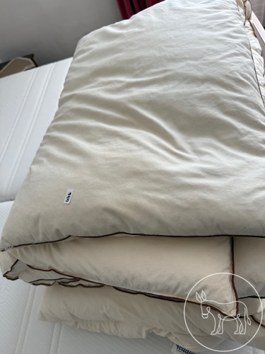 Bild 476 - Deckenkonvolut