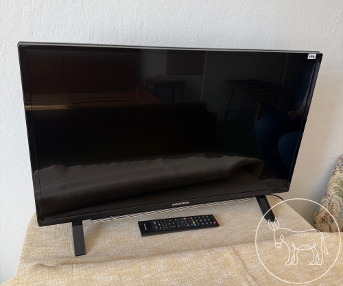 496 - Grundig Flachbildfernseher
