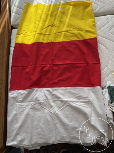 Bild 529 - Kärnten Fahne Baumwolle