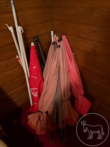 Bild 339 - Schirme - Konvolut