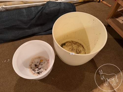 Bild 360 - 2 große Keramikblumentöpfe