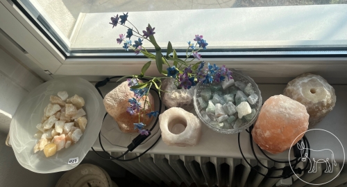 Bild 027 - Salzsteinekonvolut