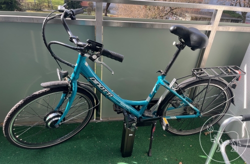Bild 121 - E-Bike mit Batterie