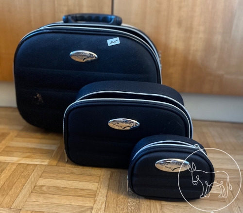 Bild 145 - Koffertaschen-Set