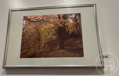 Bild 316 - Seidenbild