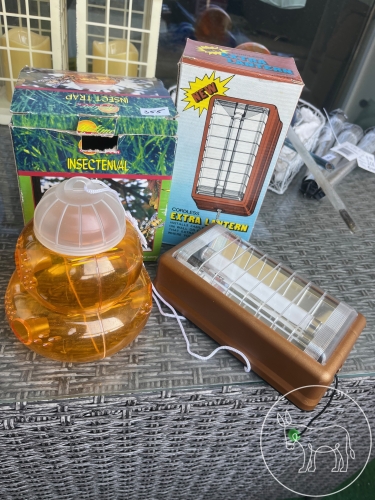 Bild 355 - 2 Insekten-Laternen