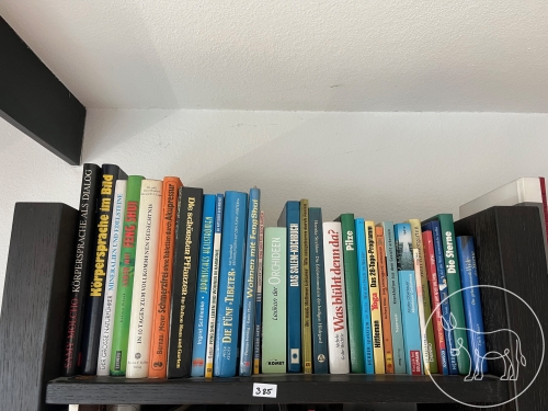 Bild 385 - Bücher - Konvolut