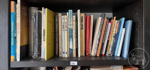 Bild 386 - Bücher - Konvolut