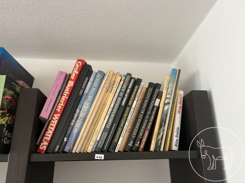 Bild 439 - Bücher-Konvolut