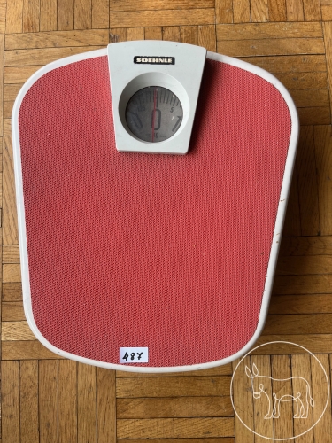 Bild 487 - Analogwaage Soehnle