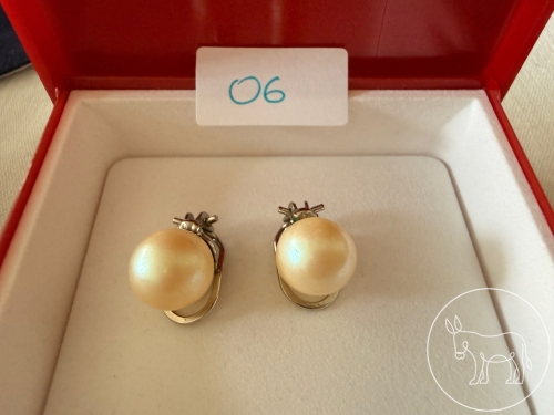 06 - Perlen-Ohrclips