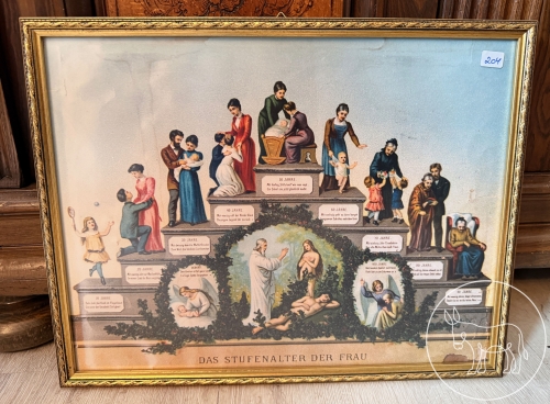 Bild 204 - Bild: Das Stufenalter der Frau