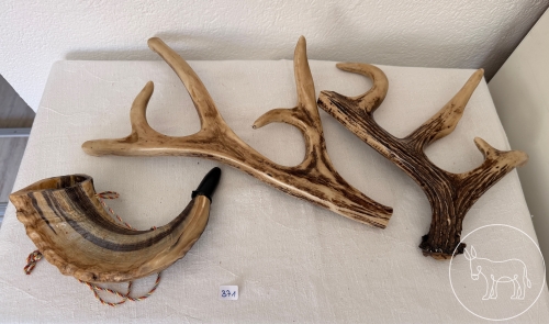 Bild 371 - Horn-Konvolut