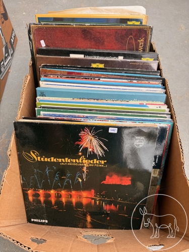 495 - Schallplatten Konvolut