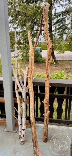 Bild 528 - Deko-Holz