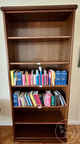 014- Bücher Regal