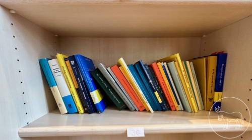 Bild 030- Bücher
