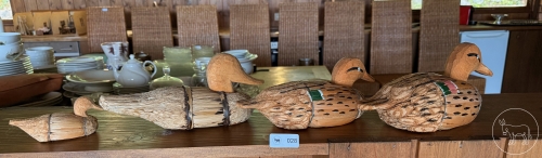 028 - Schilf-Enten Familie