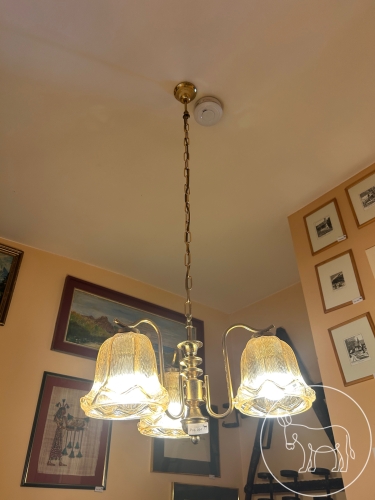 Bild 054 - Messingluster mit Glasschirmen