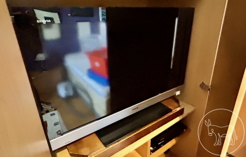 083 - Sony Flachbildfernseher