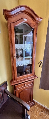 138 - Eckvitrine mit Glastüre