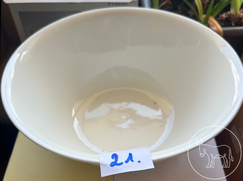 21 - Rak Porzellan Schüssel