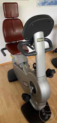 Bild 702 - Radtrainer