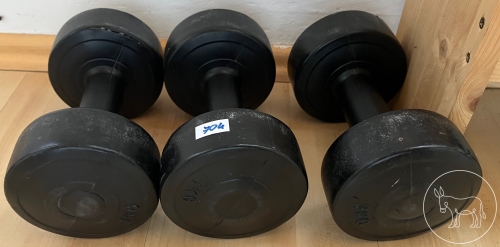 Bild 704 - Fitness Hanteln