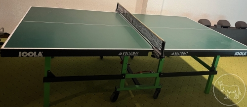 Bild 710 - Tischtennistisch