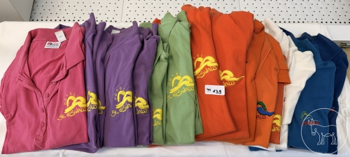 139 - Polo-Konvolut gebrandet Damen