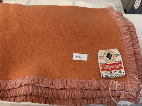 Bild 233 - Sanwald Decke