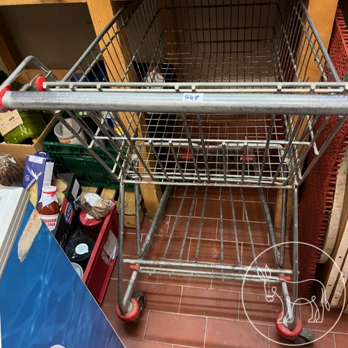 Bild 547 - Einkaufswagerl