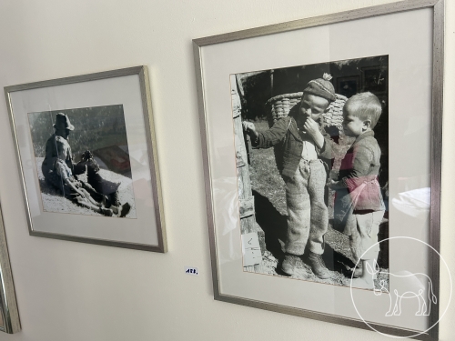Bild 157 - Fotografie