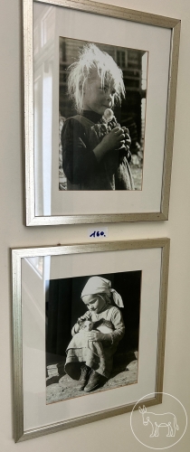 Bild 160 - Fotografie
