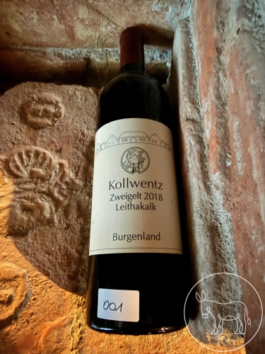 001 - 1Fl. Kollwentz, ZW, Leithakalk