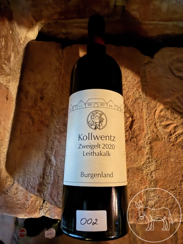 002 - 6Fl. Kollwentz, ZW, Leithakalk