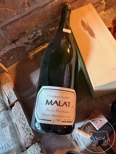 Bild 018 - 1Fl. Malat-Bründlmayer, Sekt