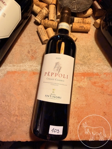 103 - 6Fl. Peppoli